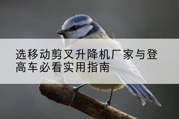 岳西电动升降机厂家-选移动剪叉升降机厂家与登高车必看实用指南