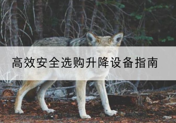岳西升降货梯厂家推荐-*安全选购升降设备指南