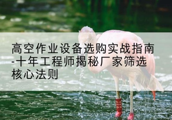 岳西剪叉式升降机厂家-高空作业设备选购实战指南-十年工程师揭秘厂家筛选核心法则